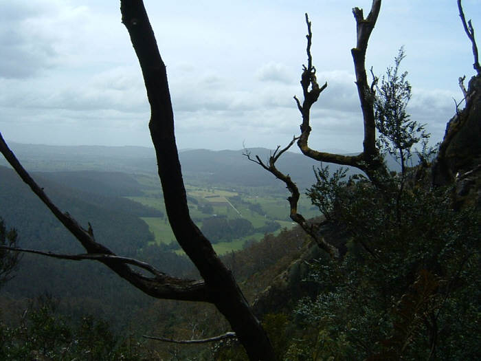 23 Tasmania.jpg